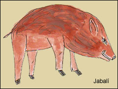 El jabalí, antecedente salvaje del cerdo