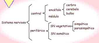 Imagen de un esquema de llaves tpico segn se describe en el texto.