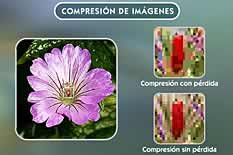 Comparativa de compresión de imágenes
